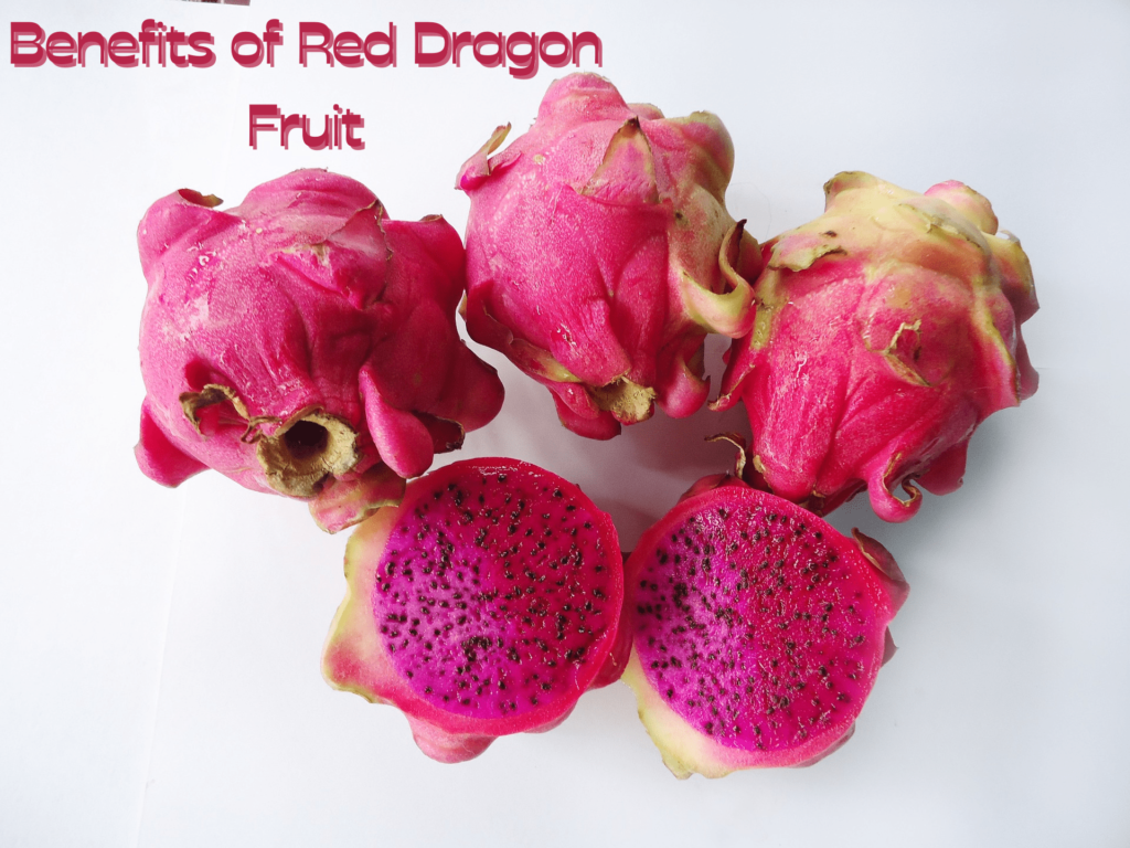  Red Dragon Fruit merits
