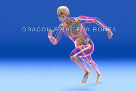 dragon fruit for bones
