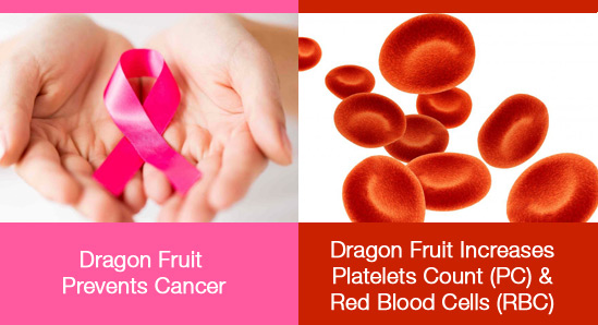 dragon fruit for cancer
