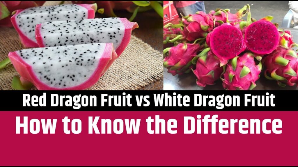 red Vs white dragon fruit
