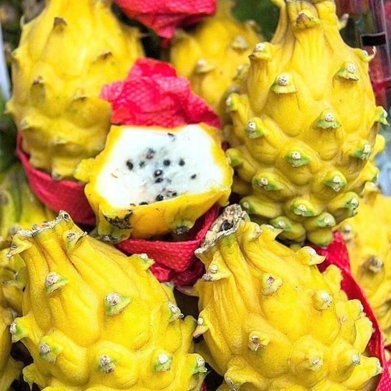 yellow dragon fruit