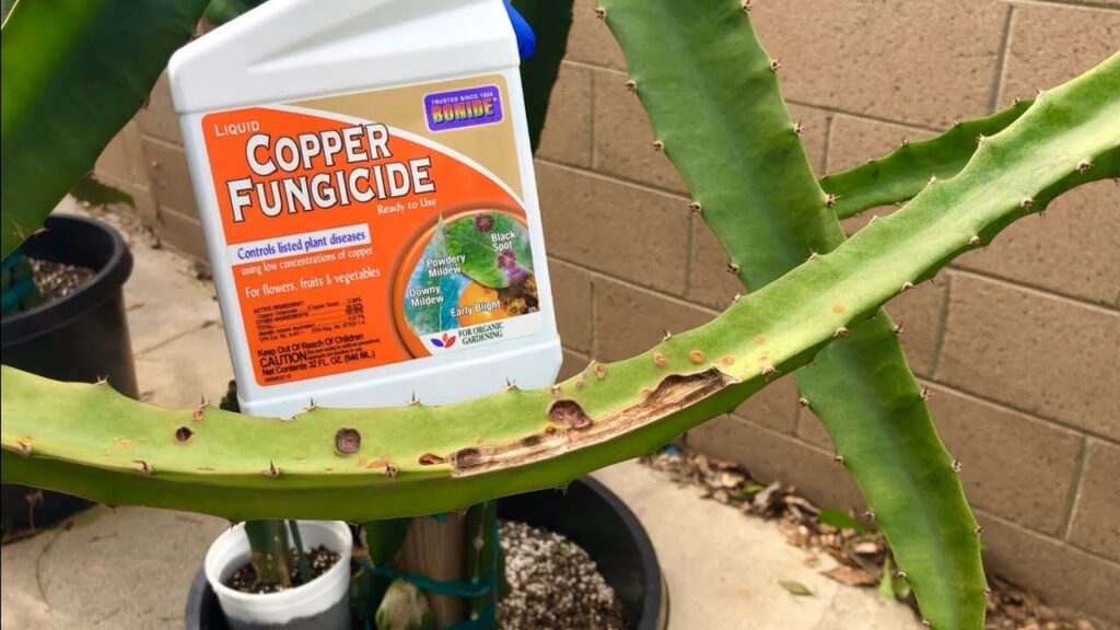 copper-based  fungicides